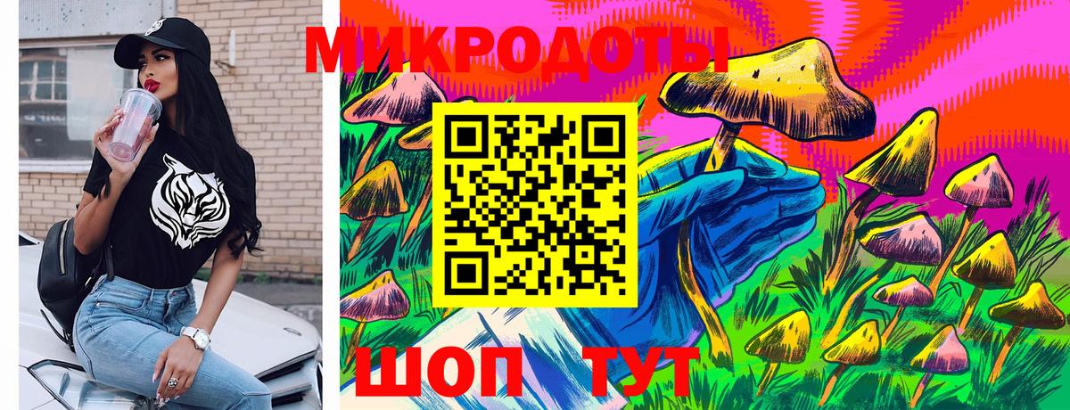 Псилоцибиновые грибы мицелий  Вход с VPN  Уссурийск  Псилоцибиновые грибы GOLDEN TEACHER 