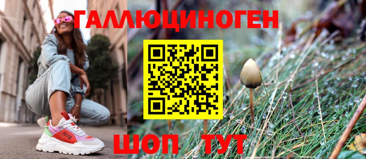 Псилоцибиновые грибы мицелий Уссурийск